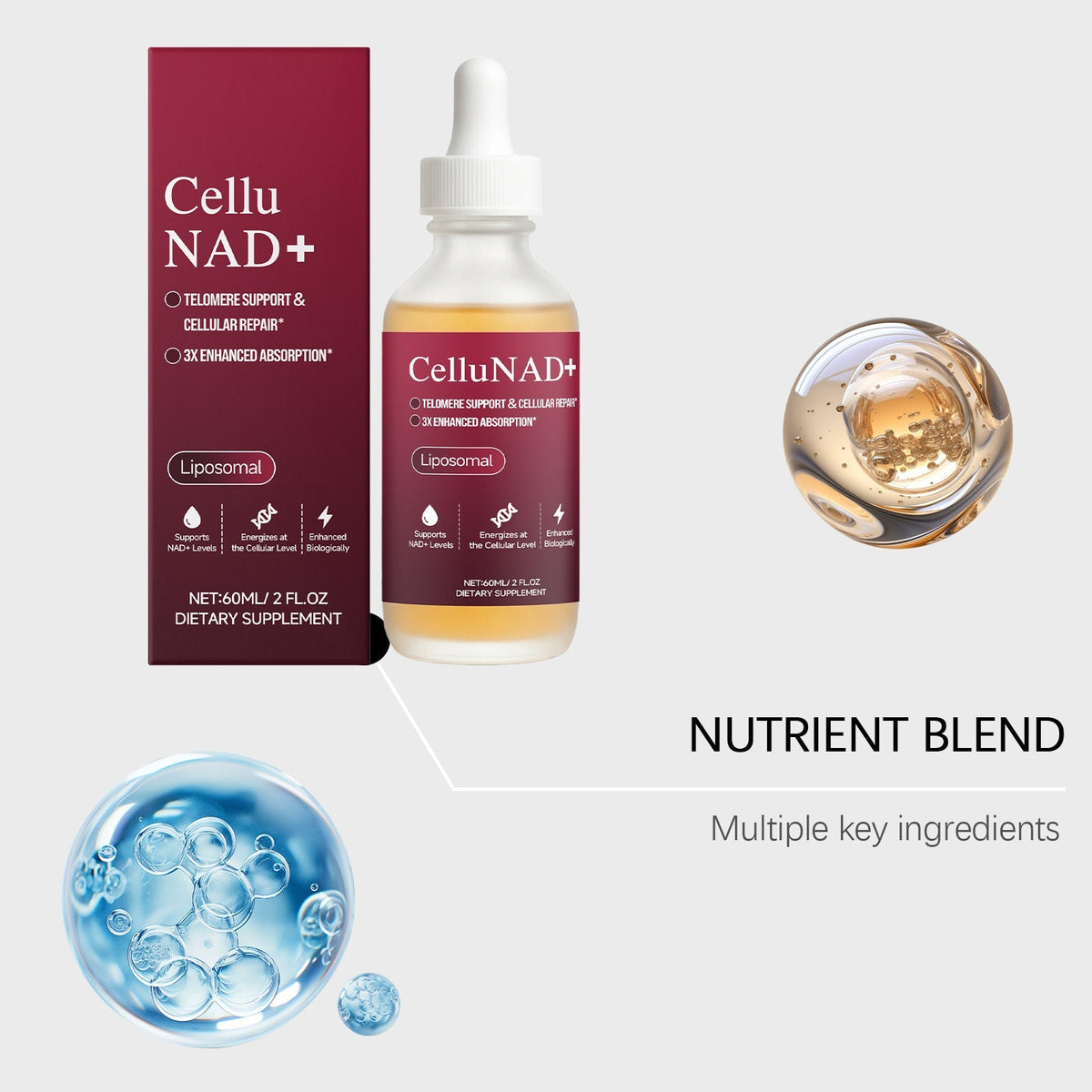 The Vega vitamin