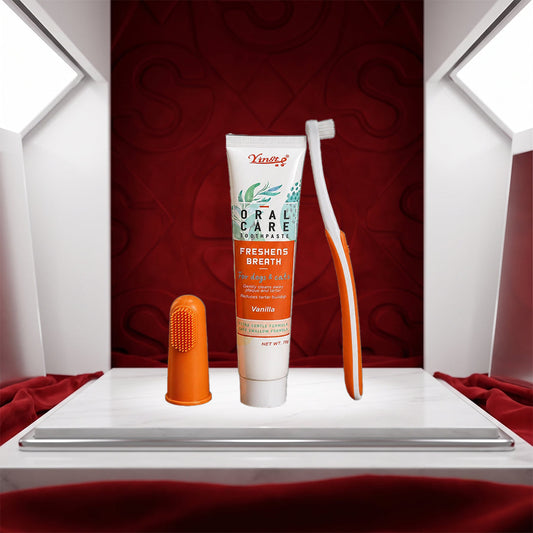 How to Use and Care for Pet Dental Care Toothpaste and Toothbrush Set: Step-by-Step Practical Instructions