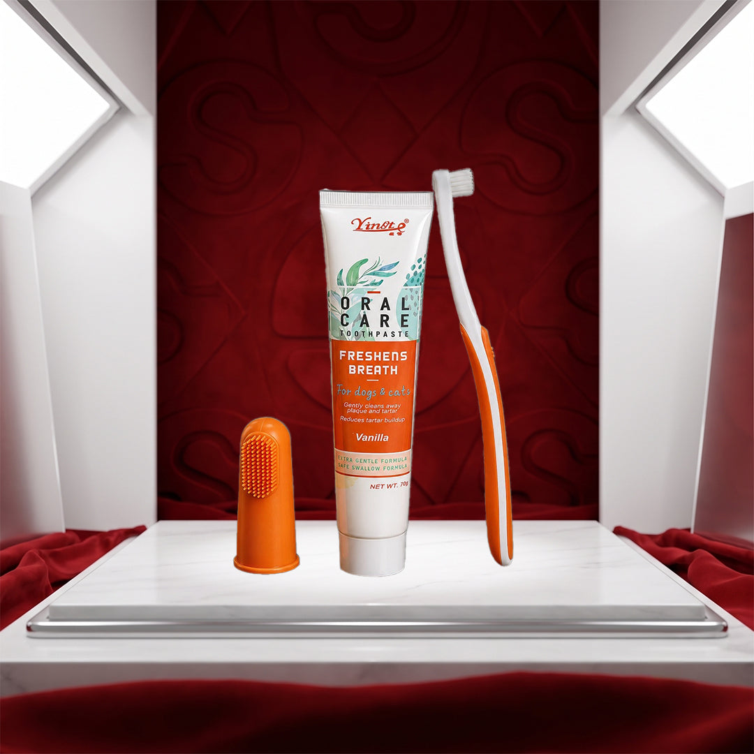 How to Clean, Store, and Maintain Pet Dental Care Toothpaste and Toothbrush Set for Long-Lasting Durability
