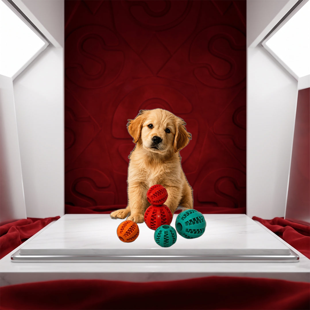 The Complete Guide to Pet Chew Toy with Food Dispenser: Features, Daily Utility, and Quality Routine